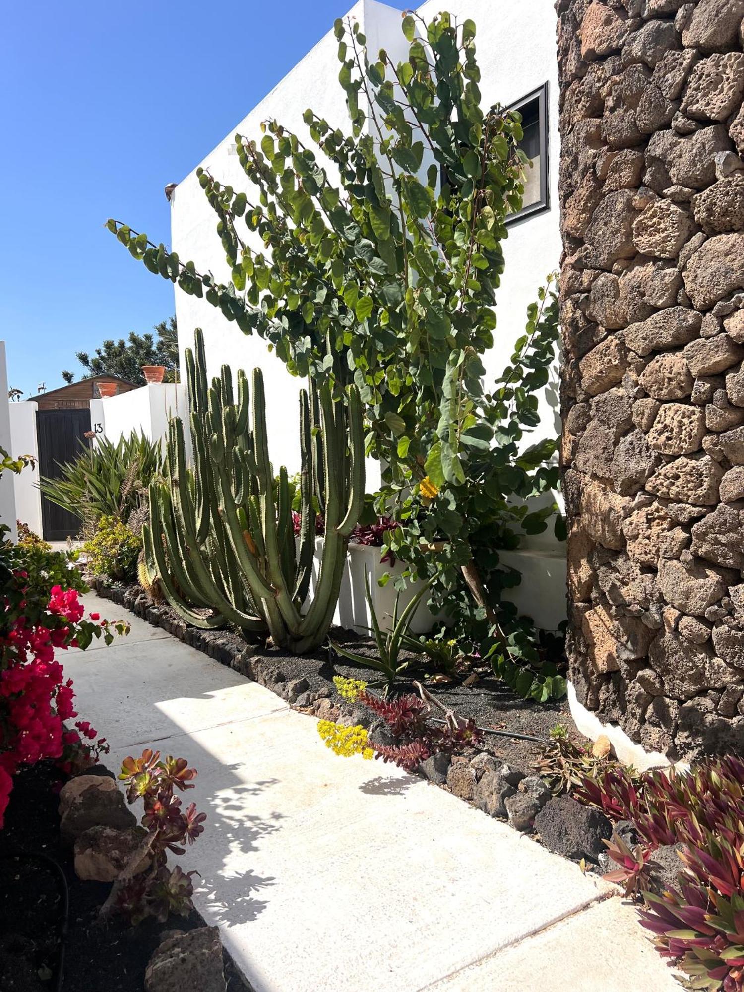 Villa Oasis En Lanzarote à Costa Teguise Extérieur photo