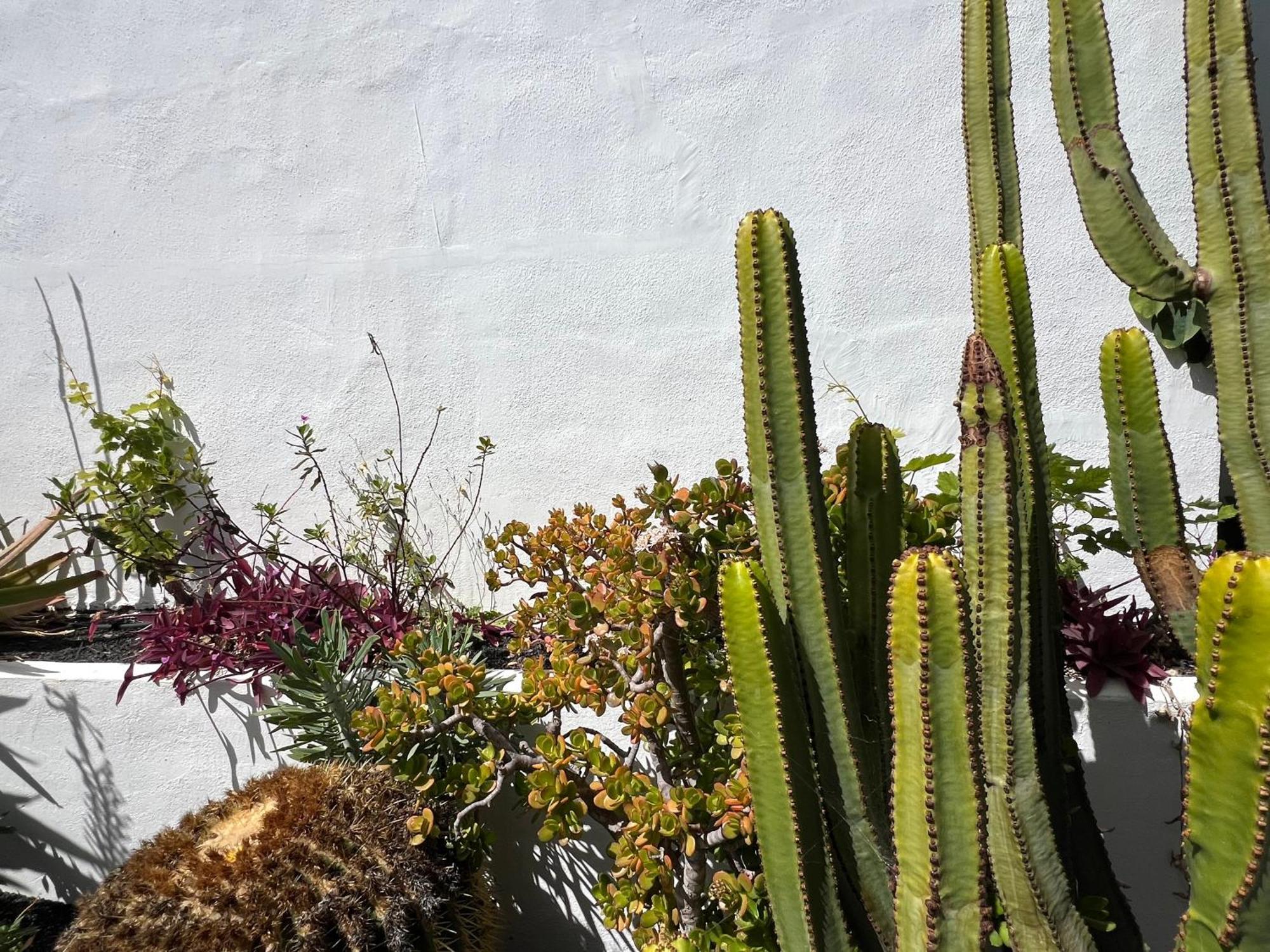 Villa Oasis En Lanzarote à Costa Teguise Extérieur photo