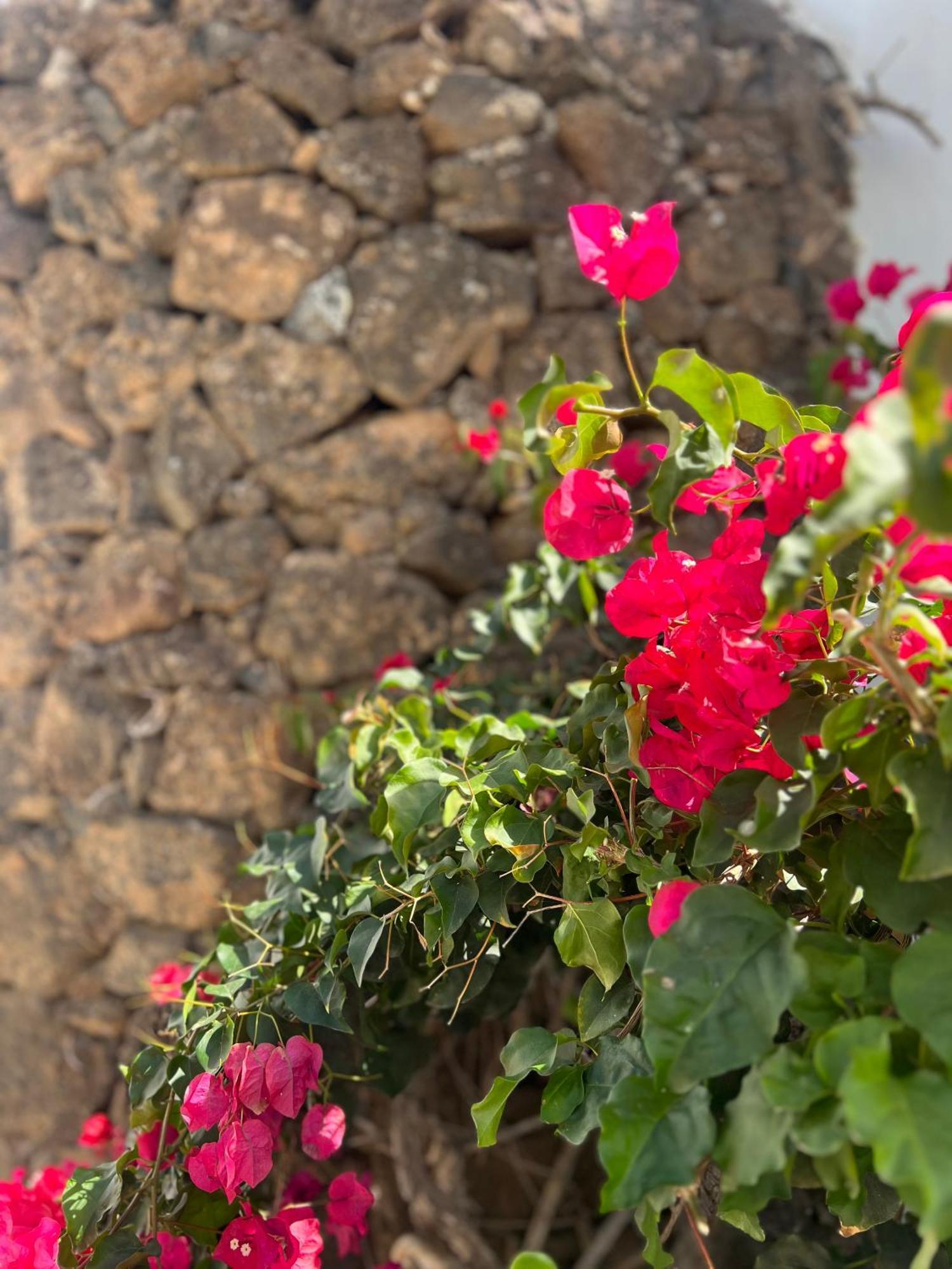 Villa Oasis En Lanzarote à Costa Teguise Extérieur photo